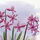 Grafika - Hyacinty, Jarné kvety - 14581850_