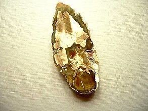 Minerály - Plátek – zkamenělé dřevo 60 mm, č.26f - 14588042_