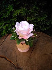 Dekorácie - malý flowerbox s ružou pre pani učiteľku - 14604723_