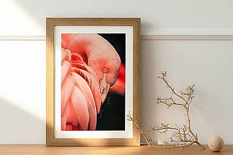Grafika - Plagát| Photo Art| mix plagátov v modernom štýle a pink tónoch 02 (plameniak A4 (2)) - 14615973_