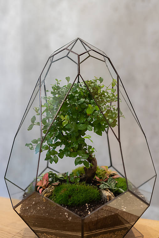 Dekorácie - Rastlinné terárium "AVOKÁDO 2" (Meď/Bronz) - 14619790_