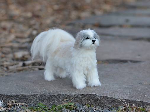 Dekorácie - Shih-tzu - 14624404_