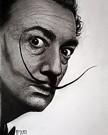 Kresby - Kresba - Portrét - Salvador Dalí - 14630516_