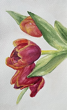 Obrazy - Malé tulipány, originál - 14650742_