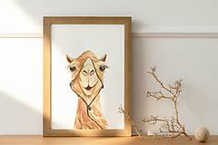 Kresby - Plagát| Akvarel| Sahara-portrét ťavy - 14677264_