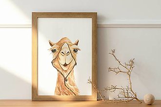 Kresby - Plagát| Akvarel| Sahara-portrét ťavy - 14677264_