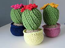 Dekorácie - Kvitnúci kaktus - 14691024_