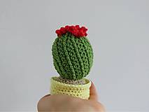 Dekorácie - Kvitnúci kaktus - 14691025_