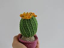 Dekorácie - Kvitnúci kaktus - 14691026_