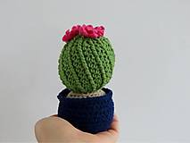 Dekorácie - Kvitnúci kaktus - 14691027_