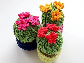 Dekorácie - Kvitnúci kaktus - 14691029_