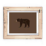 Poster - Medveď hnedý + darček