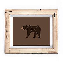 Grafika - Poster - Medveď hnedý + darček - 14696260_