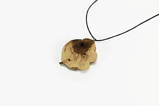 Náhrdelníky - Prívesok vinič - Vitis vinifera č.14 - 14750209_