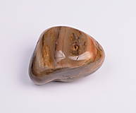 Minerály - Skamenené drevo e626 - 14751091_