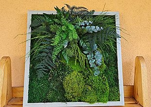 Dekorácie - Machový obraz s rastlinami - 14765819_