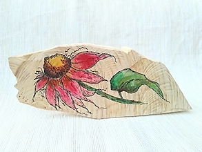 Dekorácie - Echinacea na lipovom dreve - 14782279_