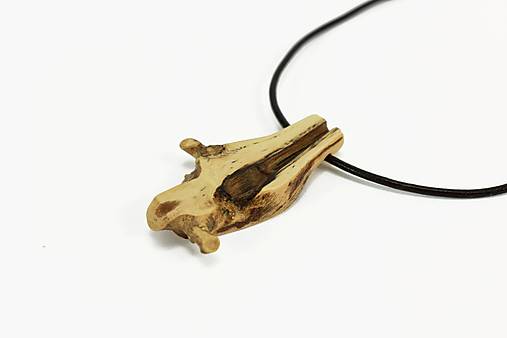 Náhrdelníky - Prívesok vinič - Vitis vinifera č.15 - 14785581_