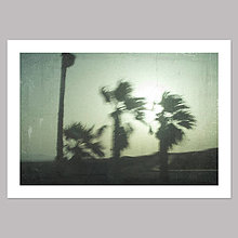 Grafika - Palm trees - grafika - 14784347_
