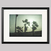 Grafika - Palm trees - grafika - 14784640_