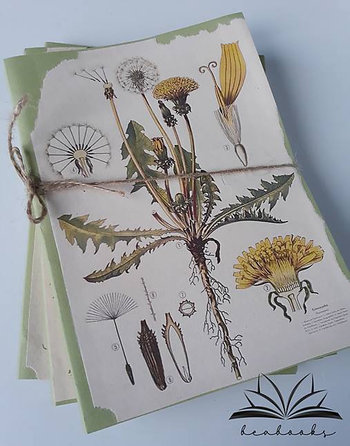Papiernictvo - Botanika - 14793592_