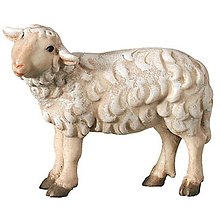 Dekorácie - Stojaca ovečka pozerajúca doľava - Ľudový - 14804689_