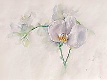 Obrazy - Originálna akvarelová maľba "Orchidea" - 14807202_