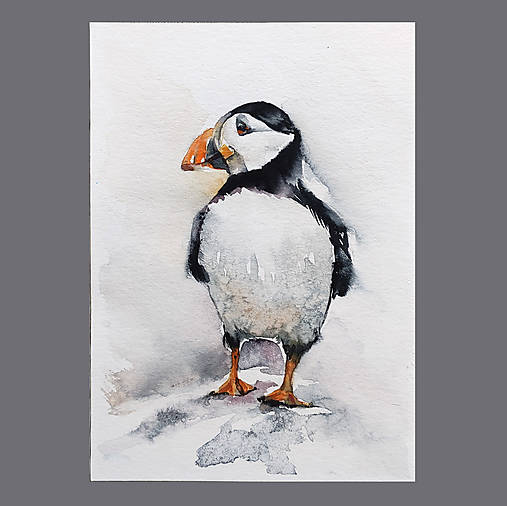 Obrazy - Malý akvarelový obraz "Puffin" - 14815730_