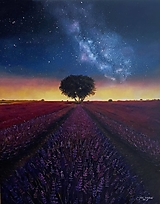 Obrazy - Levanduľové pole, olejomaľba, 80x100 - 14822816_