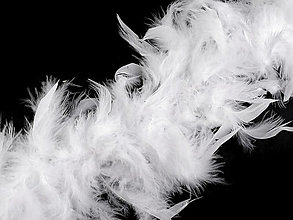 Suroviny - Boa - morčacie perie 1,8 m 60 g - 14827741_