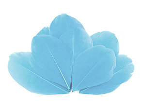 Suroviny - Husie perie 5,5-7 cm 10 ks (modrá svetlá) - 14828566_