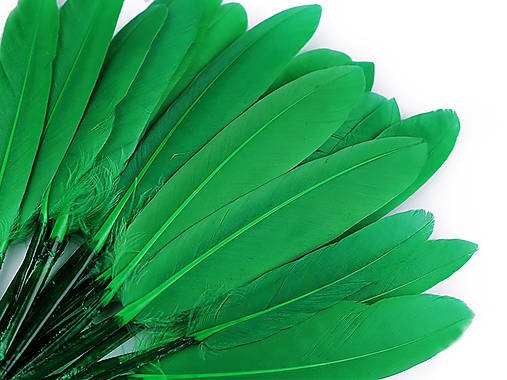 Suroviny - Kačacie perie 9-14 cm (zelená pastelová) - 14829719_