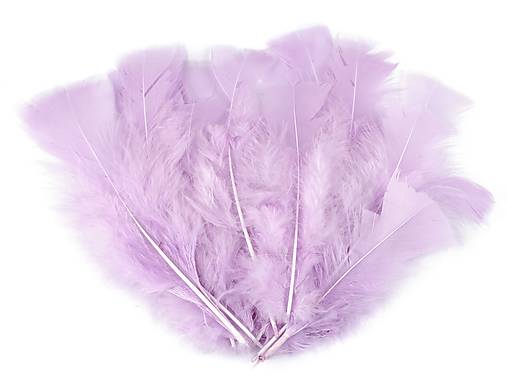 Morčacie perie 11-17 cm 20 ks (fialová lila)