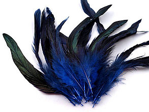Suroviny - Slepačie perie 6-20 cm 20 ks (Modrá) - 14829145_