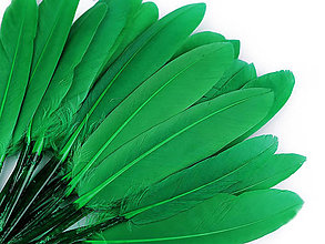 Suroviny - Kačacie perie 9-14 cm 20 ks (zelená pastelová) - 14829719_