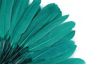 Suroviny - Kačacie perie 9-14 cm 20 ks (zelený tyrkys) - 14829722_