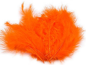 Suroviny - Pštrosie perie 9-16 cm 20 ks (oranžová) - 14830742_