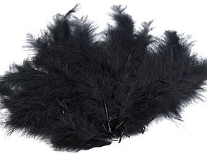 Suroviny - Pštrosie perie 9-16 cm 20 ks (čierna) - 14830744_