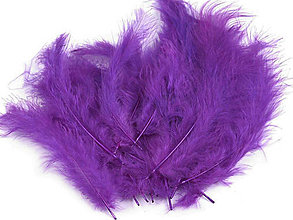 Suroviny - Pštrosie perie 9-16 cm 20 ks (fialová purpura) - 14830745_
