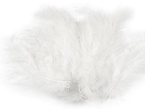 Suroviny - Pštrosie perie 9-16 cm 20 ks (biela) - 14830747_