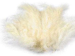 Suroviny - Pštrosie perie 9-16 cm 20 ks (vanilka) - 14830748_