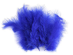 Suroviny - Pštrosie perie 9-16 cm 20 ks (modrá kráľovská) - 14830783_