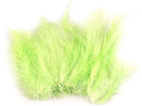 Suroviny - Pštrosie perie 9-16 cm 20 ks (zelená svetlá) - 14831227_