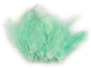 Suroviny - Pštrosie perie 9-16 cm 20 ks (mint) - 14831228_