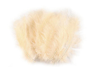 Suroviny - Pštrosie perie 9-16 cm 20 ks (béžová svetlá) - 14831256_