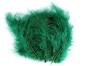 Suroviny - Pštrosie perie 9-16 cm 20 ks (zelená) - 14831282_
