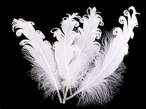 Suroviny - Kučeravé husie perie kučeravé 12-18 cm 4 ks (biela) - 14834682_