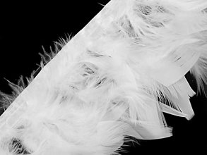 Suroviny - Prámik - morčacie perie 12 cm (biela) - 14834773_