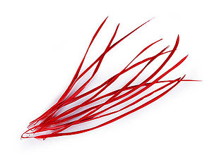 Suroviny - Husie perie brká 15-23 cm 10 ks (červená) - 14835251_