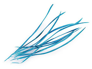 Suroviny - Husie perie brká 15-23 cm 10 ks (modrá tyrkys) - 14835253_